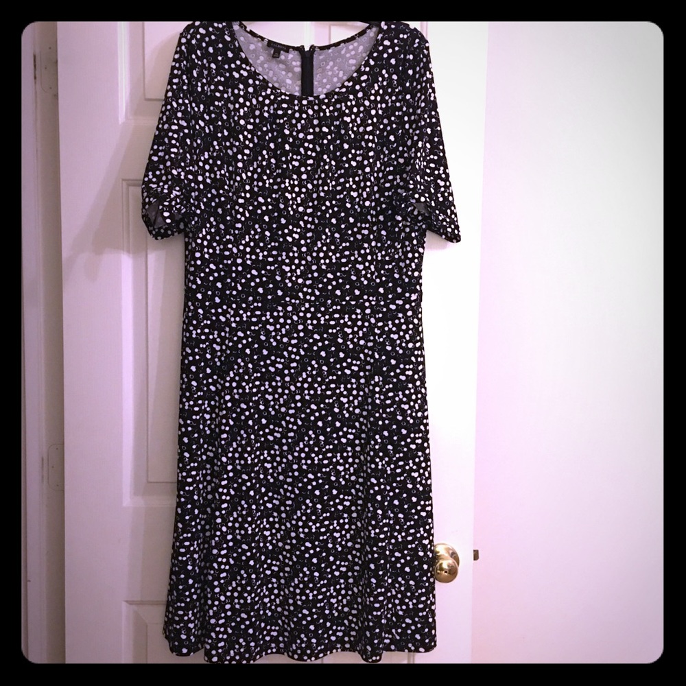 Talbots Black and White Printed Dress